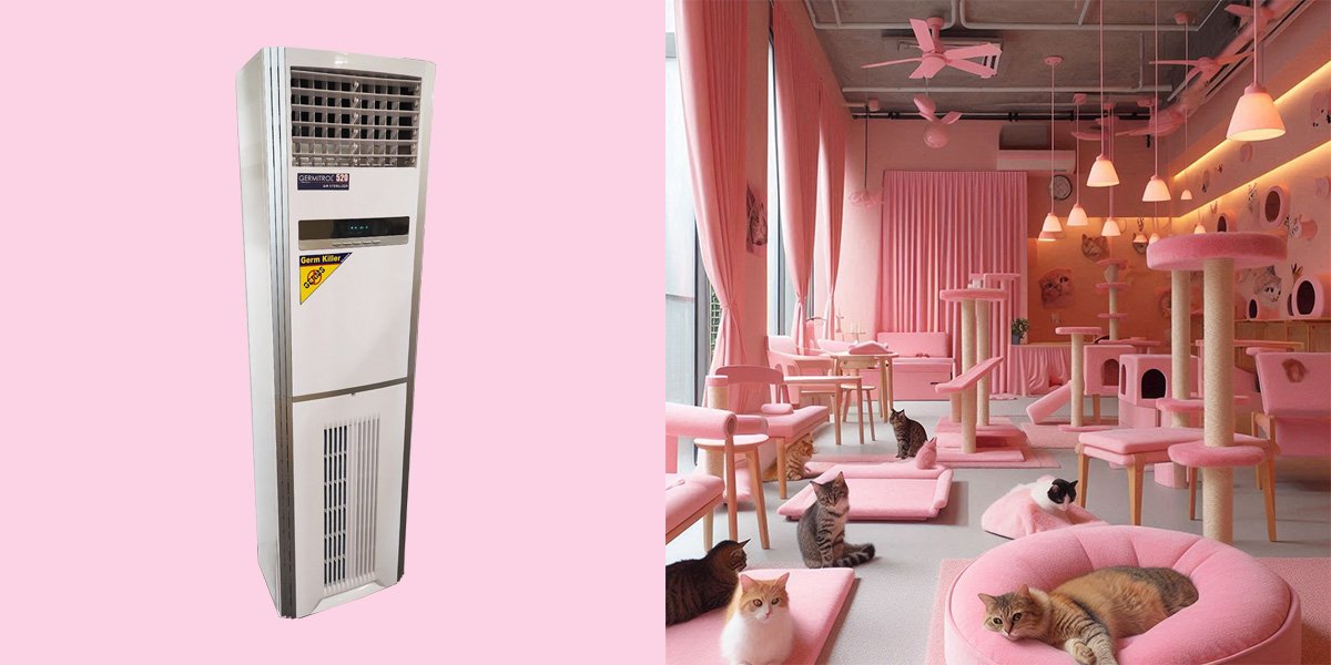 how-germitrol-uv-air-purifiers-saved-a-cat-hotel-from-eviction-and-transformed-the-air-quality